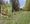 MMSD, County Parks seek suspects in removal of 100 trees along Menomonee River