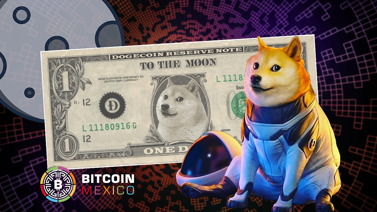 ¿Qué es el Doge Day?