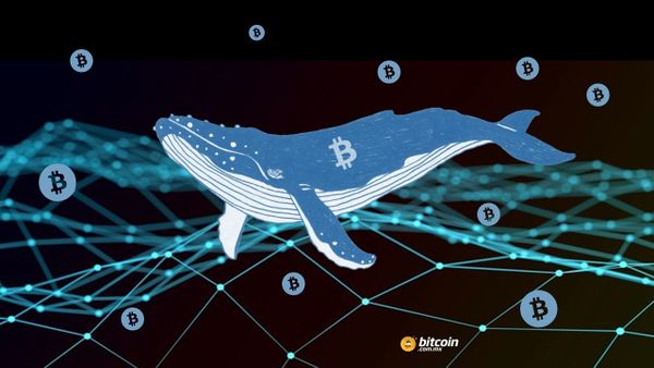 Ballena de bitcoin transfiere $580 millones de USD en BTC y paga solo 400 USD