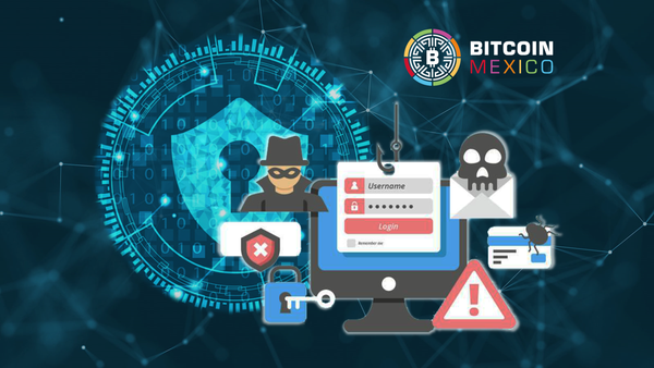 Evita caer en estafas y perder tu cripto con una hardware wallet