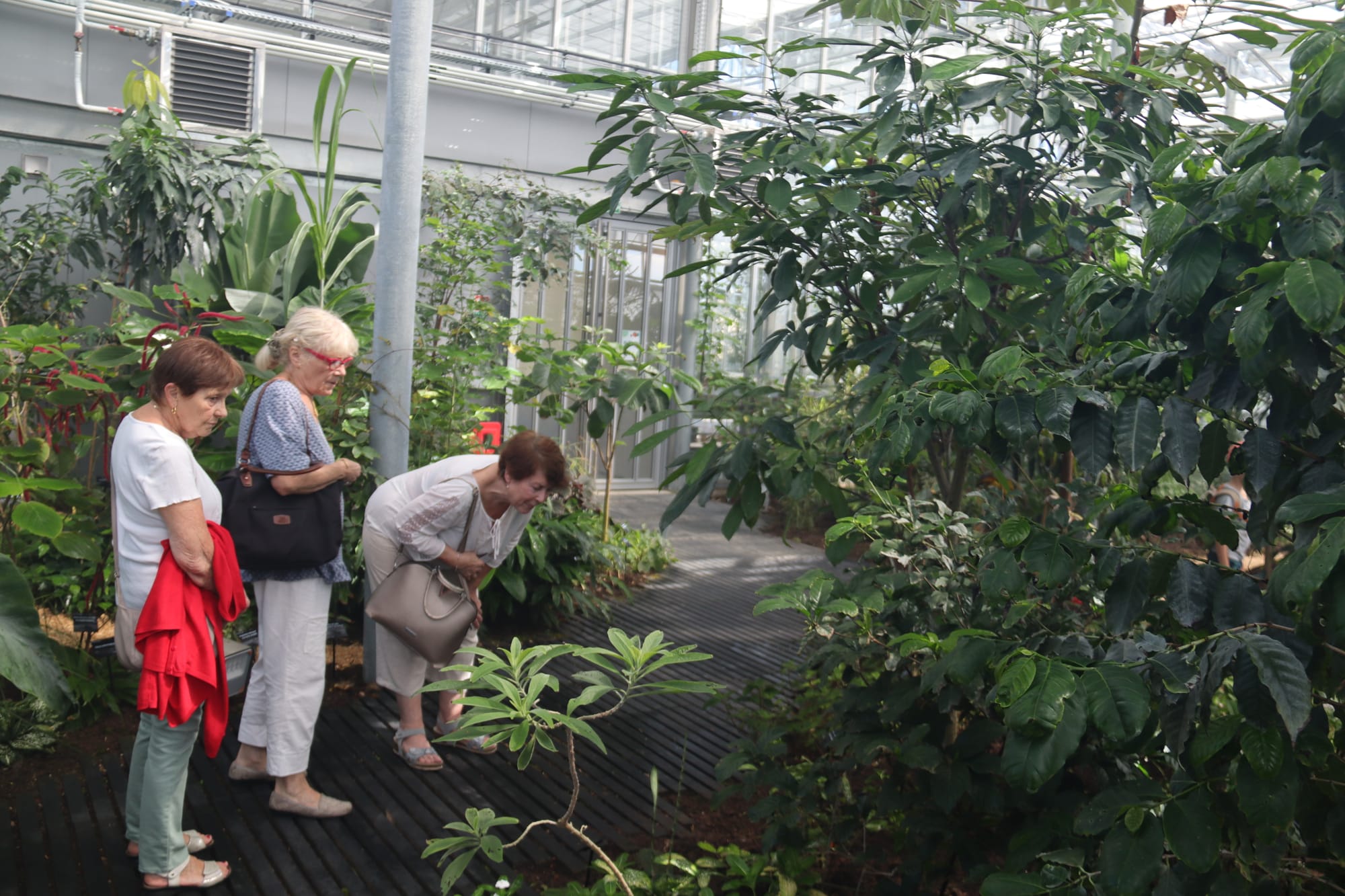 Besançon - Biome, le nouveau poumon vert bisontin
