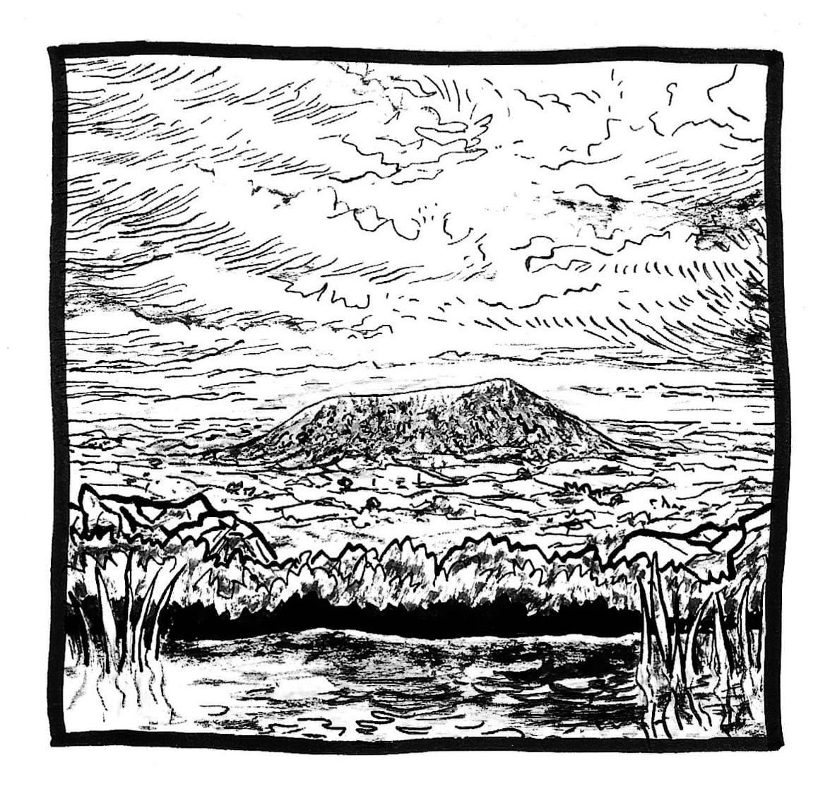 Large Mammal Problem