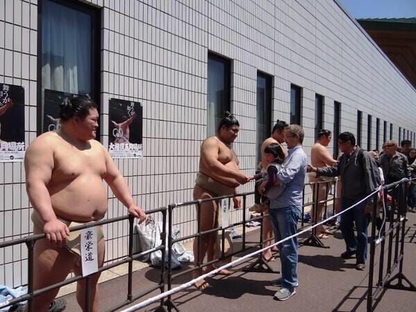 Sumo-Ringer zum Anfassen