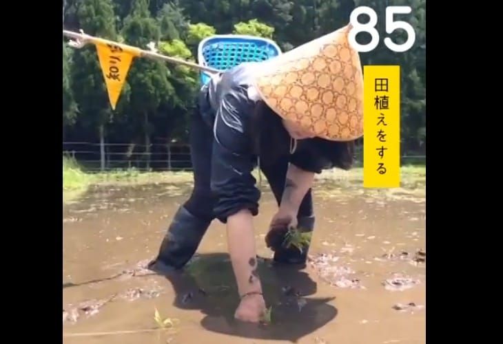 100 Dinge, die man in Japan tun kann
