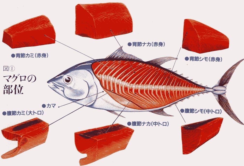 Japan detailliert erklärt