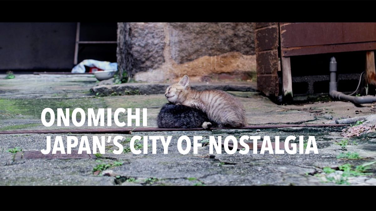 Klicken Sie hier, um Jans Youtube-Kanal kostenlos zu abonnieren.