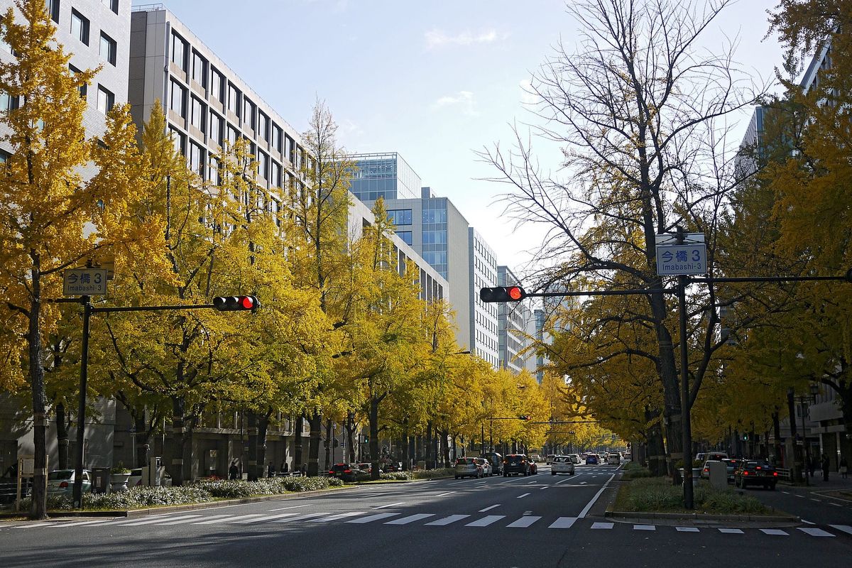 Besonders schön im Herbst: Die Midōsuji-Avenue.