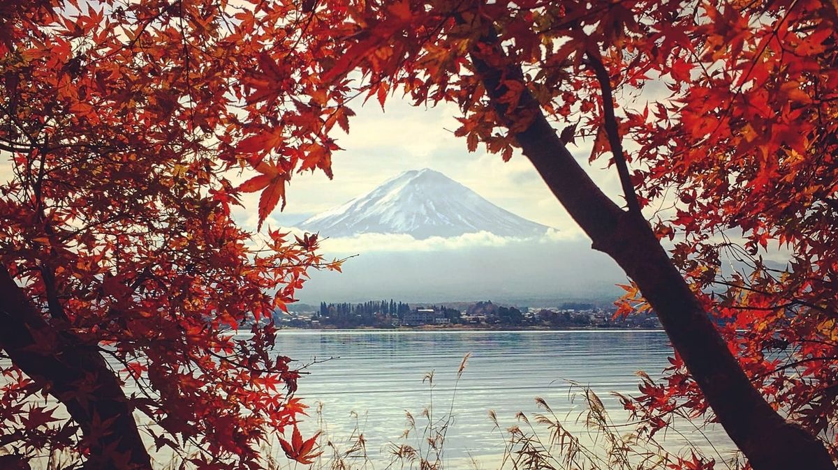 Herbst in Fujikawaguchiko.