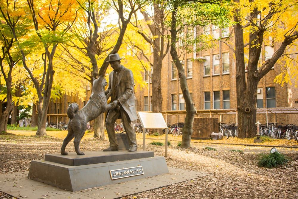 Die Hachiko-Statue auf dem Gelände der Universität Tokio.