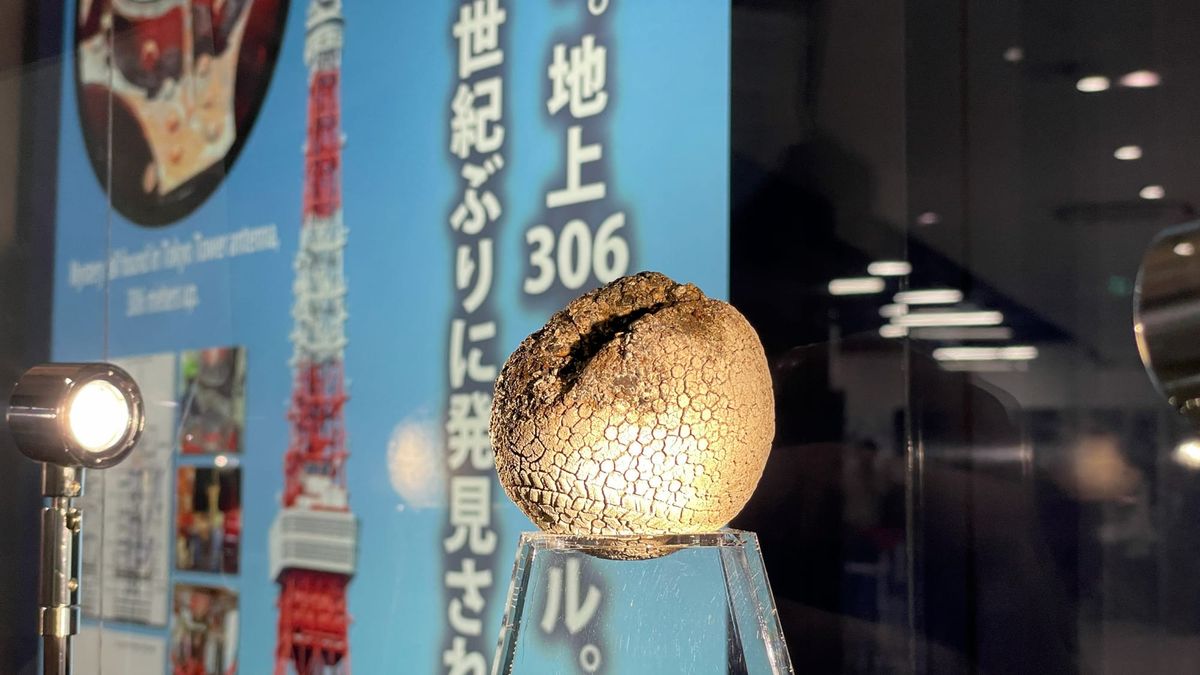 Der Ball, der sich in 306 Metern Höhe im Antennenmast befand.