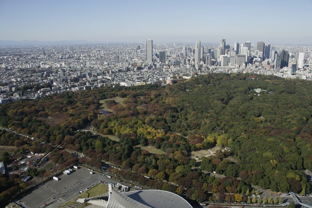 Der Yoyogi-Park (linke Seite) und der Wald des Meiji-Jingu-Schreins (rechte Seite).