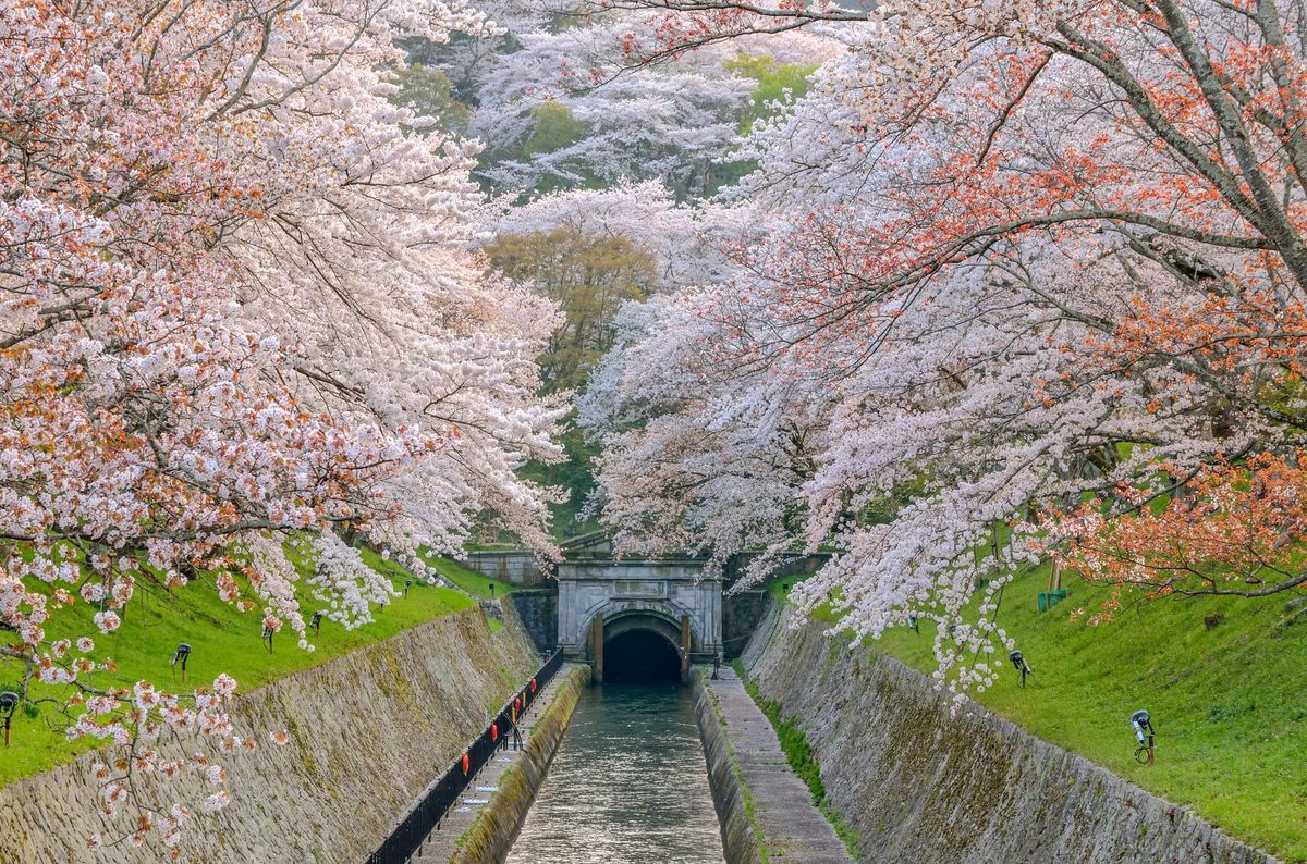 Kyotos Kanal zum grössten See Japans