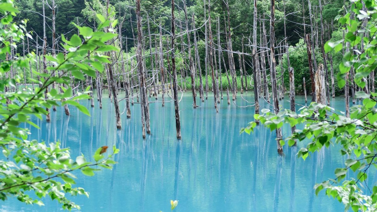 Der blaue Teich