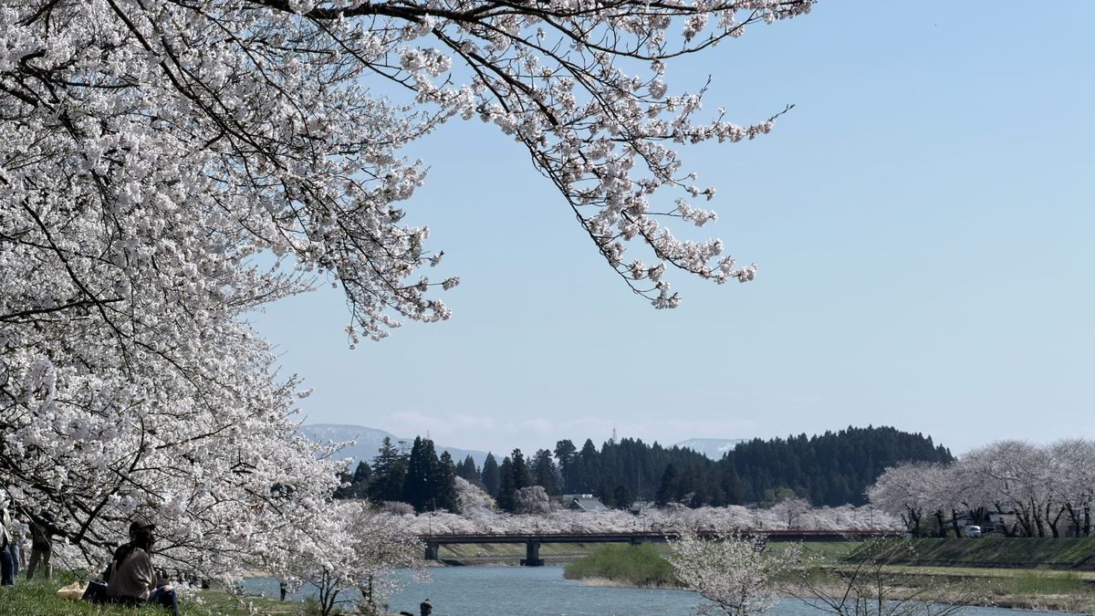 Die späte Blütenpracht des Nordostens