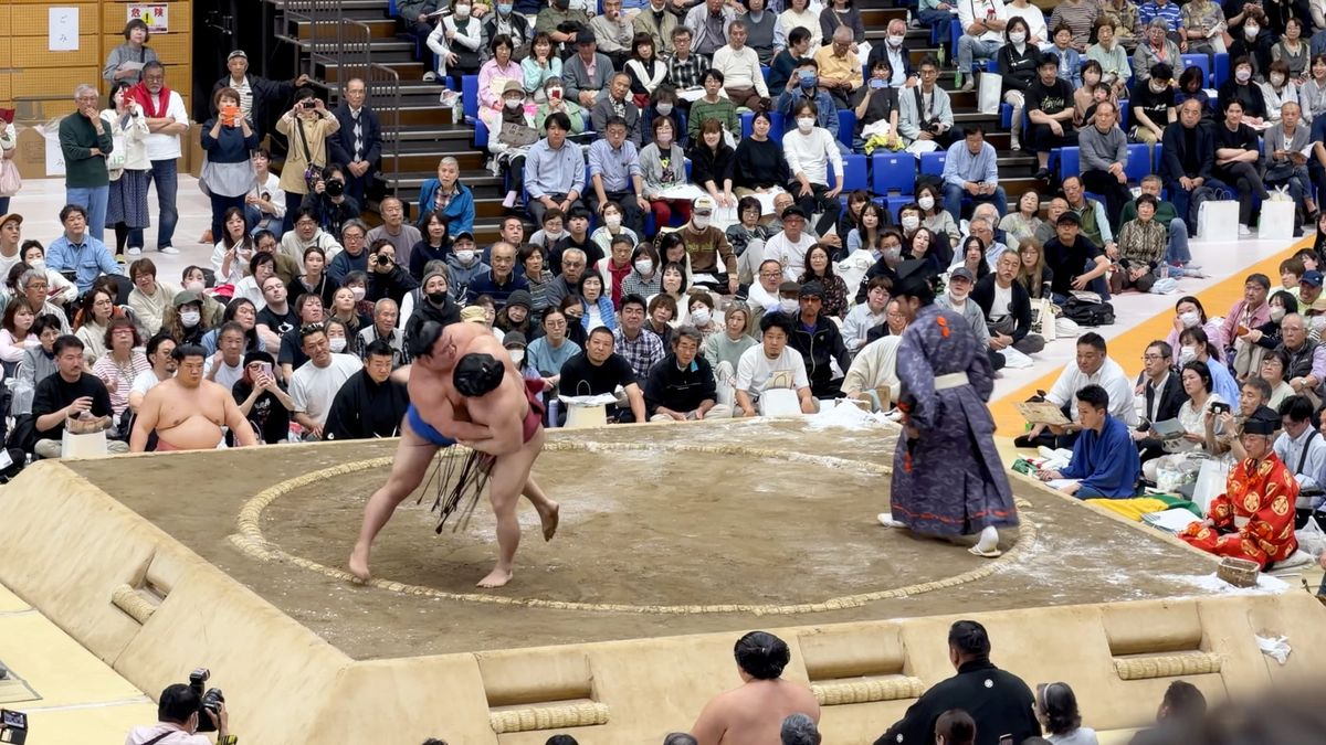 Sumo: Die Renaissance der sanften Giganten