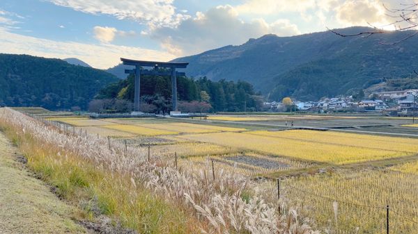 Das grösste Torii der Welt
