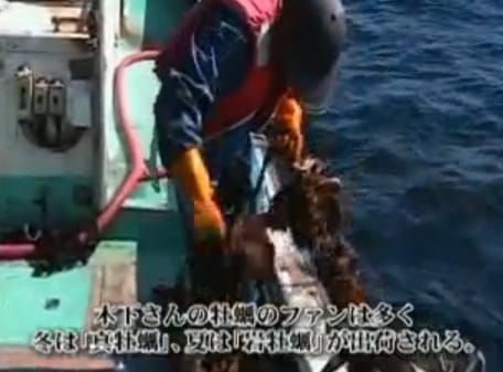 Jeden Tag ein neuer Bericht: Ein Videoausschnitt zum Fischfang in der Präfektur Iwate.