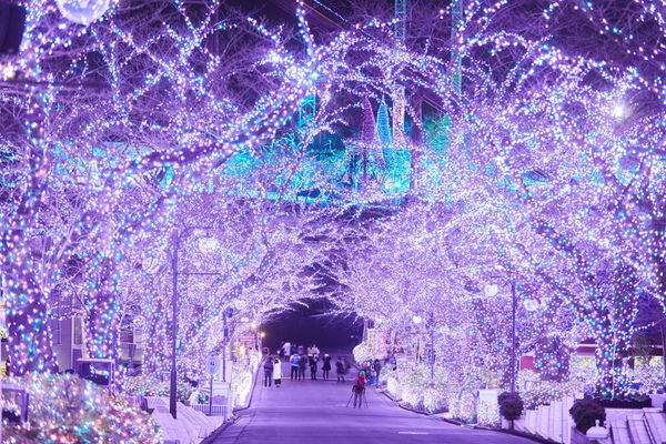 Winterstimmung im Yomiuri Land in Tokio.