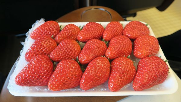 Erdbeeren in Japan.