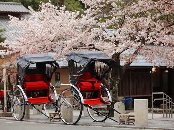 Kirschblüten und Rikscha: Es war ein Frühling ohne ausländische Gäste.