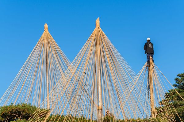 Yukizuri: Die Aufbauarbeiten im November.