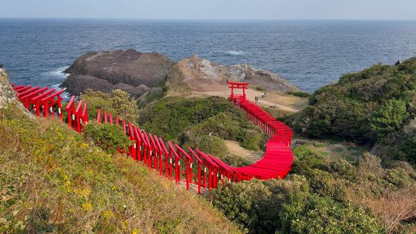Ein Torii-Tunnel am Rande Japans