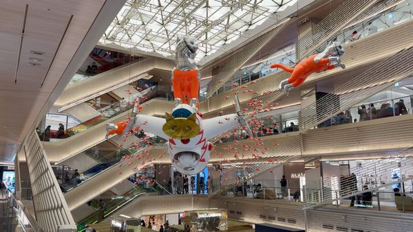 Tokios schwebende Weltraumkatzen