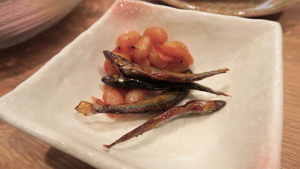 Die vorgeschriebene Vorspeise