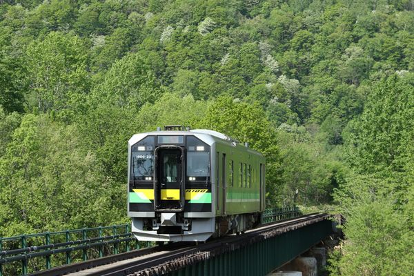 Regionalzüge in Japan: Local, Rapid oder Express?