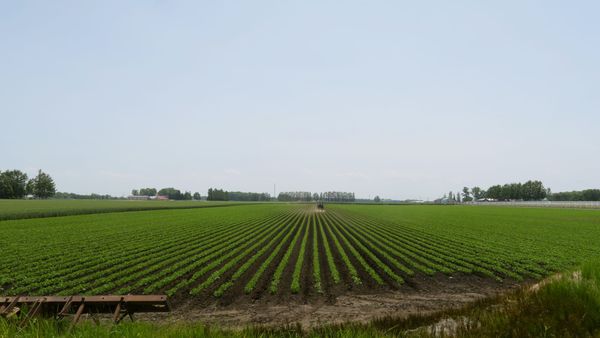 Die Stadt der endlosen Weiten