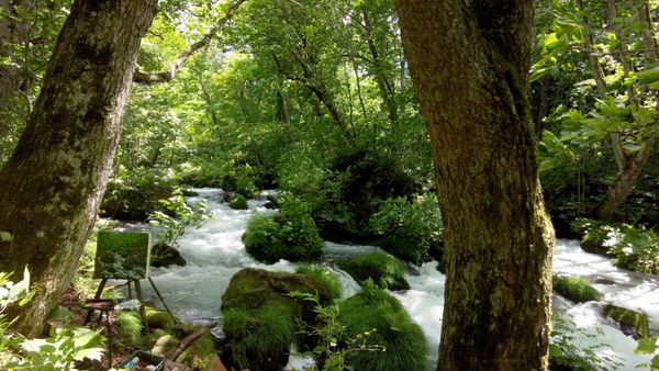Wanderung entlang eines japanischen Naturdenkmals