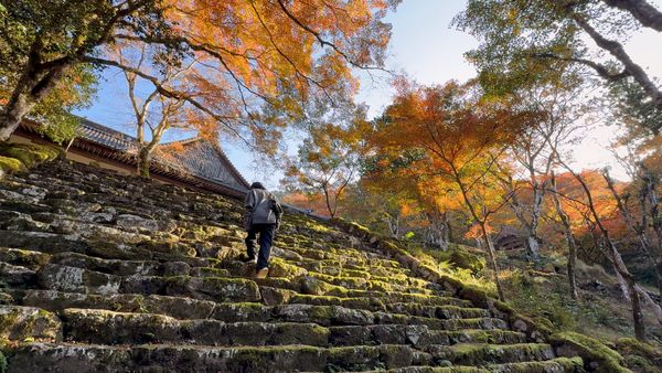 Herbstzauber auf dem Land