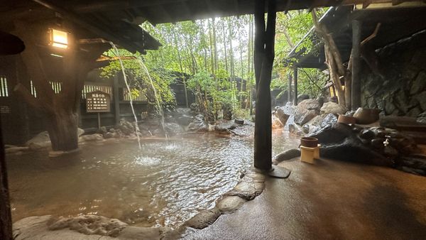 Eine Nacht im Bilderbuch-Onsen