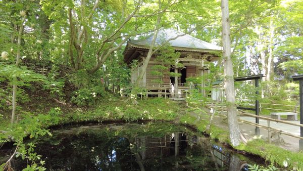 Japans vergessene Pracht: Wo Gold und Geschichte verschmelzen