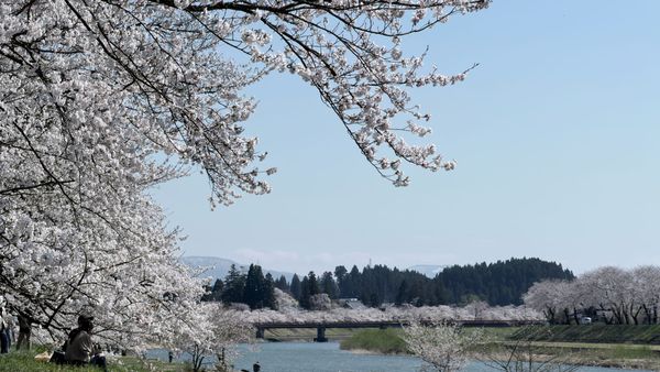 Die späte Blütenpracht des Nordostens