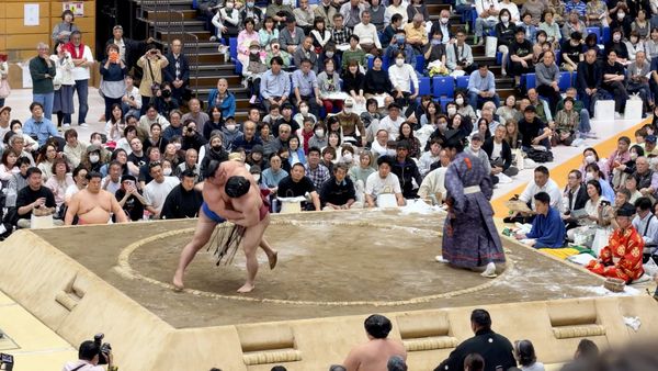 Sumo: Die Renaissance der sanften Giganten