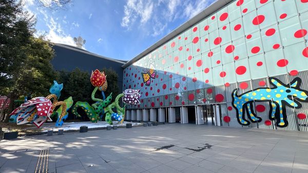 Polka Dots und Kürbisse: In der Heimat von Yayoi Kusama