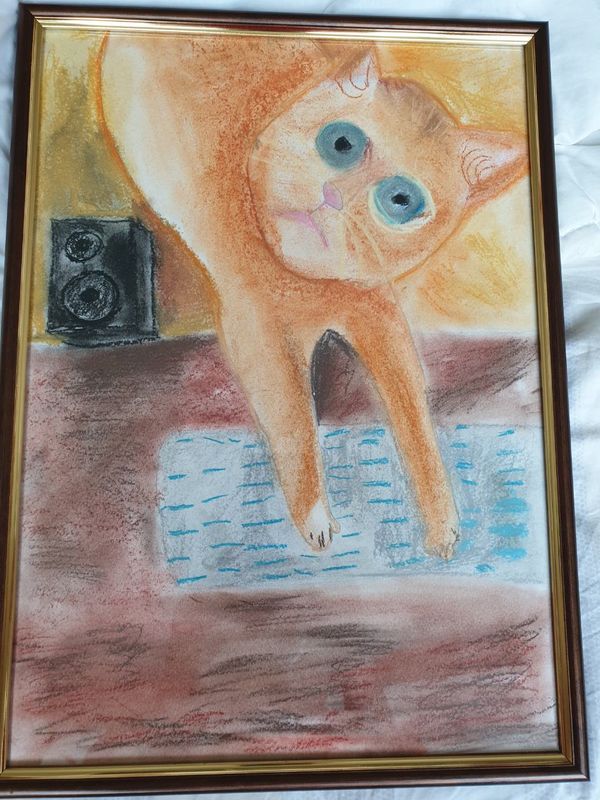 Difference Between Data Scientist and Data Analyst