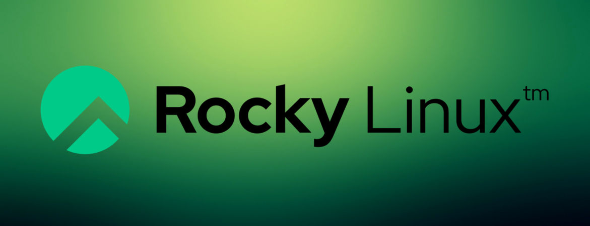 How to fix the network not coming up automatically after installing RockyLinux8 on VirtualBox?