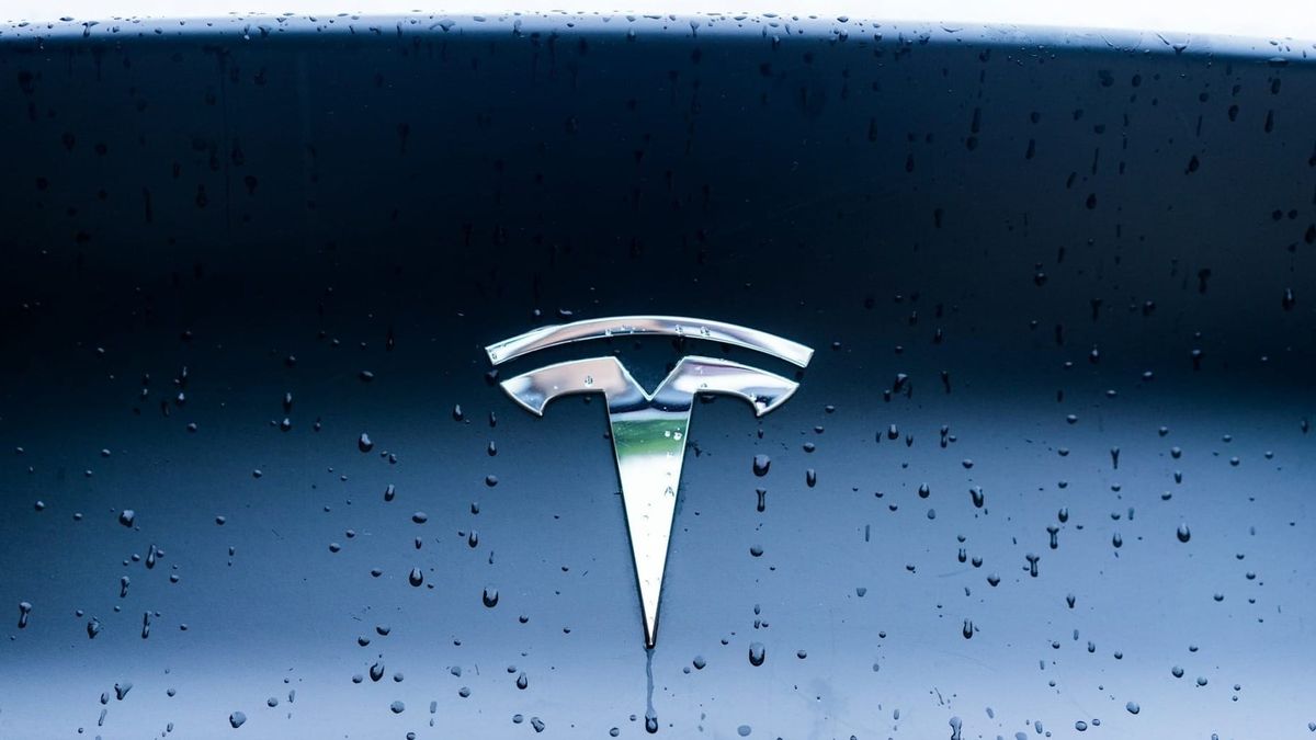  Cathie Wood buys Tesla shares after earnings-driven stock selloff
