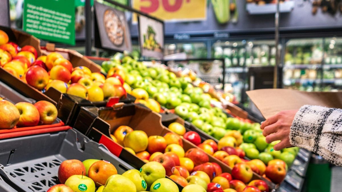 Grocery Outlet turnaround gains traction as comps and earnings improve in Q2