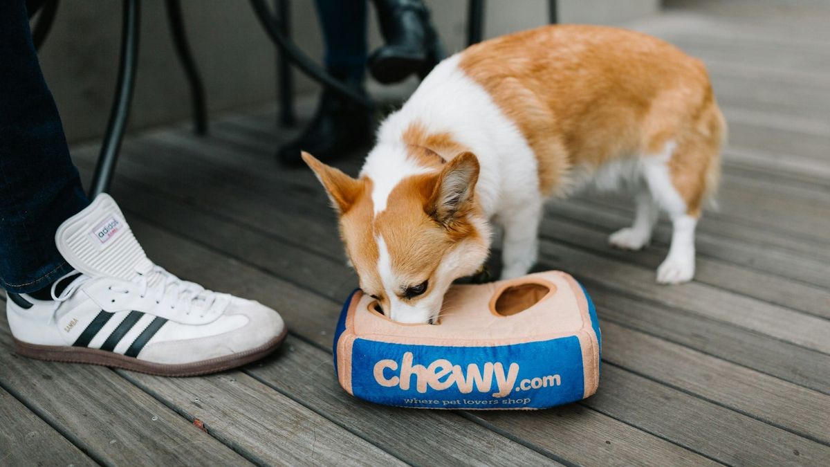 Chewy earnings show customer and Autoship growth as shares fall after results