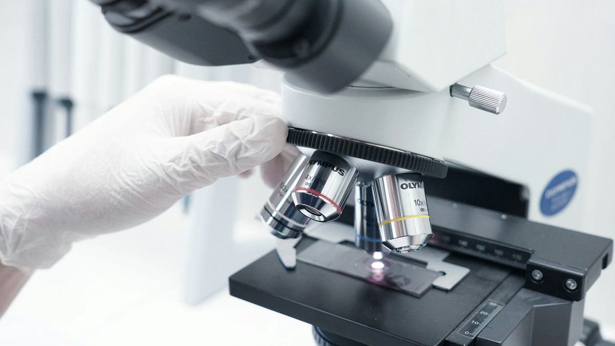 Novo Nordisk pipeline plans fail to ease investor concerns over growth and patent expirations