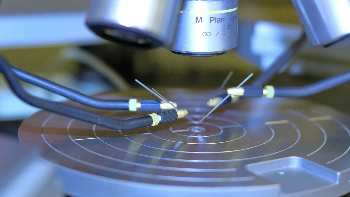 Marvell leads semiconductor gains as custom AI chip and networking demand expands