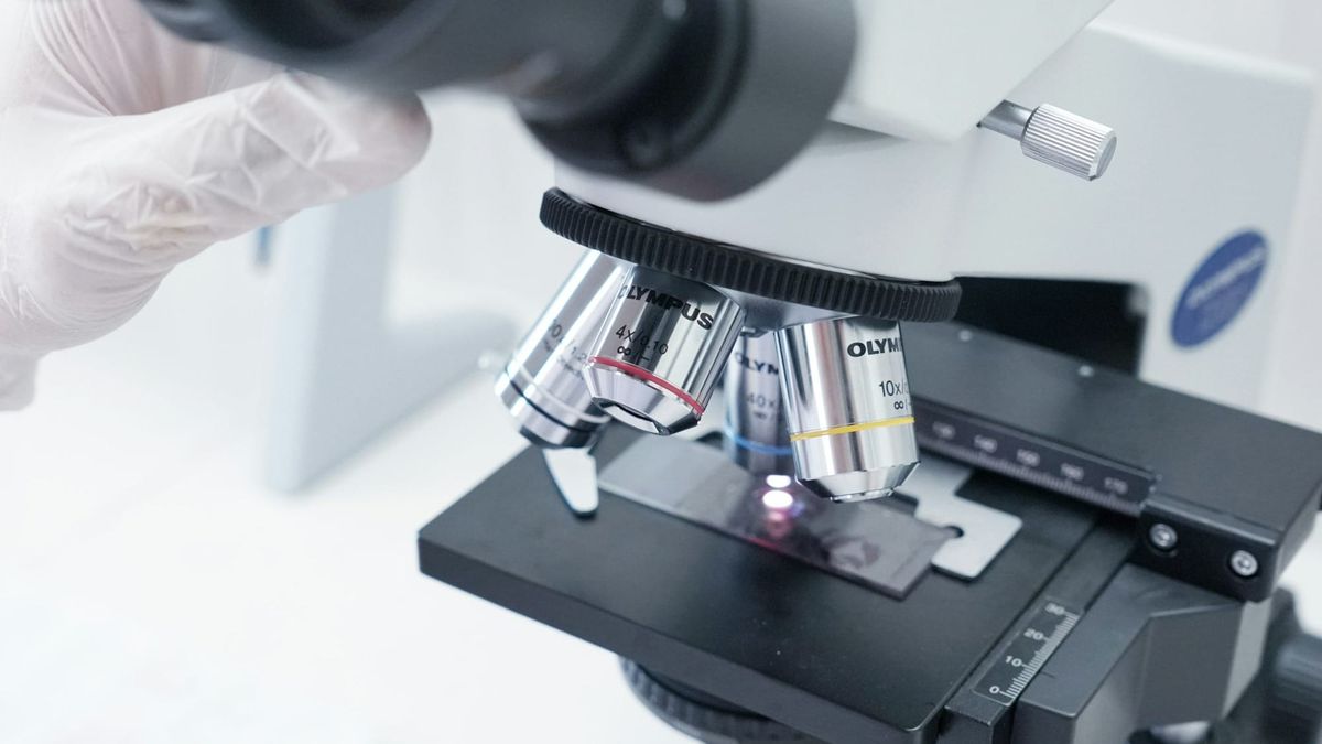 Johnson & Johnson shares decline as MedTech growth slows despite strong pharmaceutical earnings