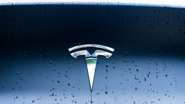  Cathie Wood buys Tesla shares after earnings-driven stock selloff