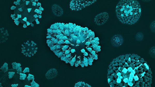 Eli Lilly expands immunology pipeline with $2.875 billion Merida Biosciences acquisition