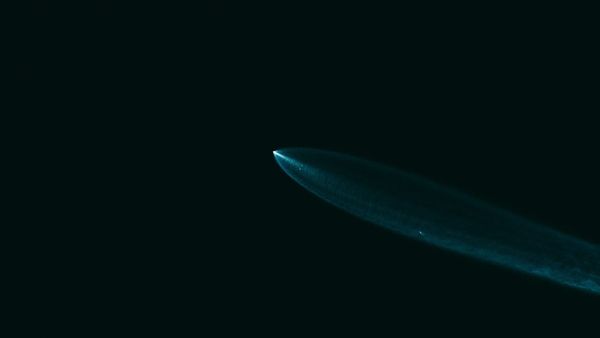 SpaceX rocket representing the company's AI expansion, spending and stock volatility