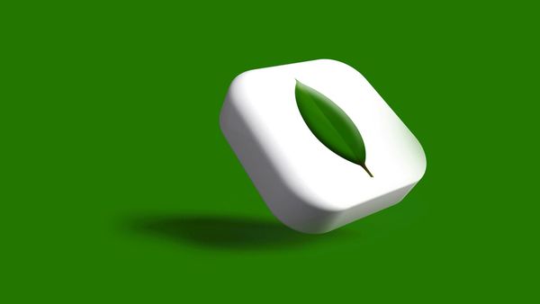 MongoDB shares fall as Atlas growth outlook trails elevated expectations