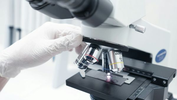 Novo Nordisk pipeline plans fail to ease investor concerns over growth and patent expirations